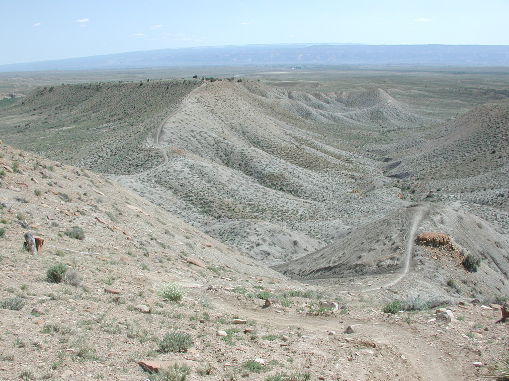 DSCN7976.JPG