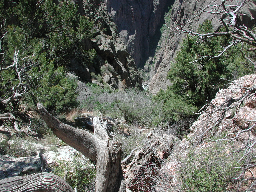 DSCN0036.JPG