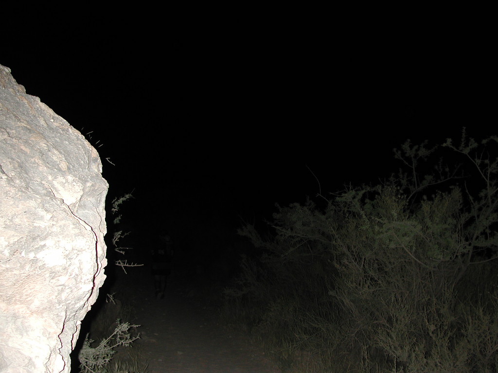 DSCN0373