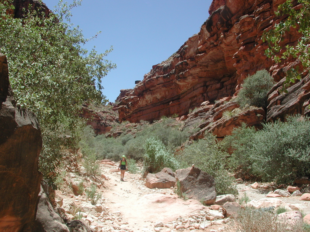 DSCN3720.JPG