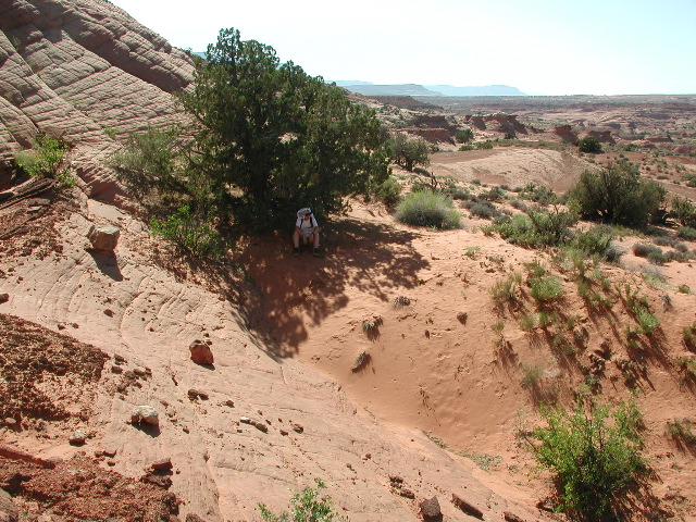 DSCN6086.JPG