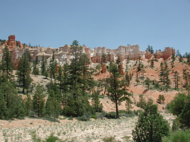 DSCN6178.JPG