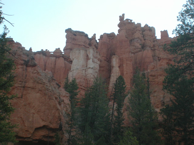 DSCN6219.JPG