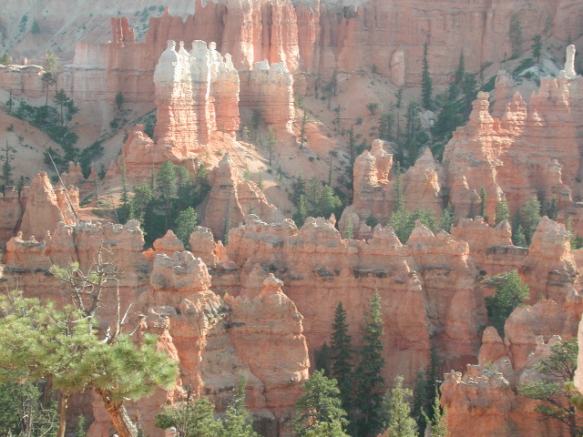DSCN6287.JPG