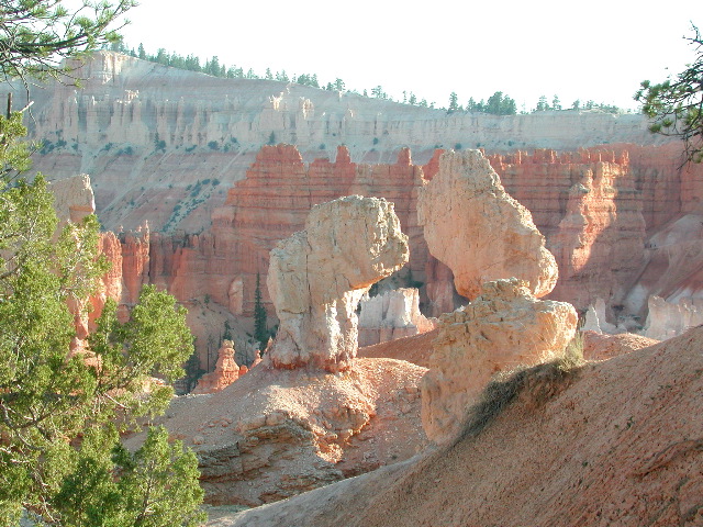 DSCN6293.JPG