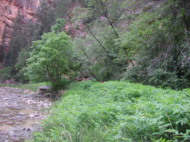 DSCN6541.JPG